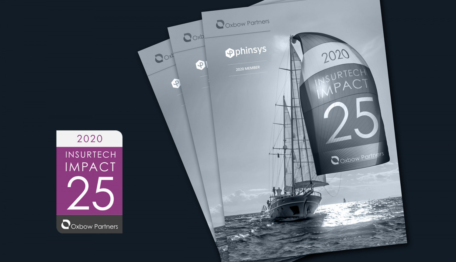 Phinsys – The Oxbow Partners view